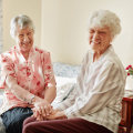 Palliative and Hospice Care for Elderly Loved Ones